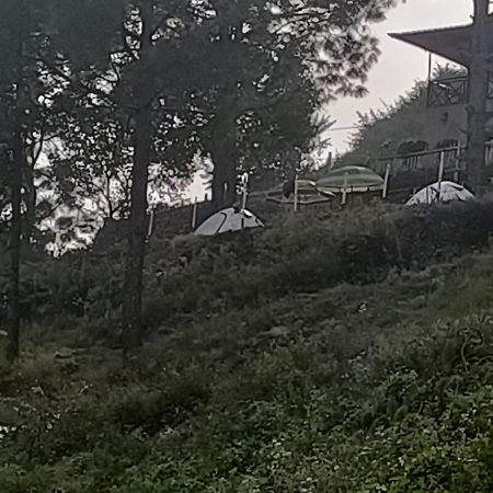 Nainital Adventure Park & Resort Zewnętrze zdjęcie